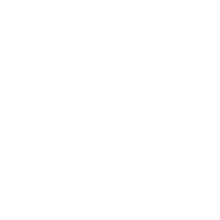 1 Handy