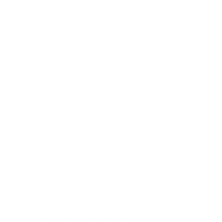 3 Hund